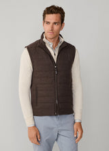 CONKER BROWN
