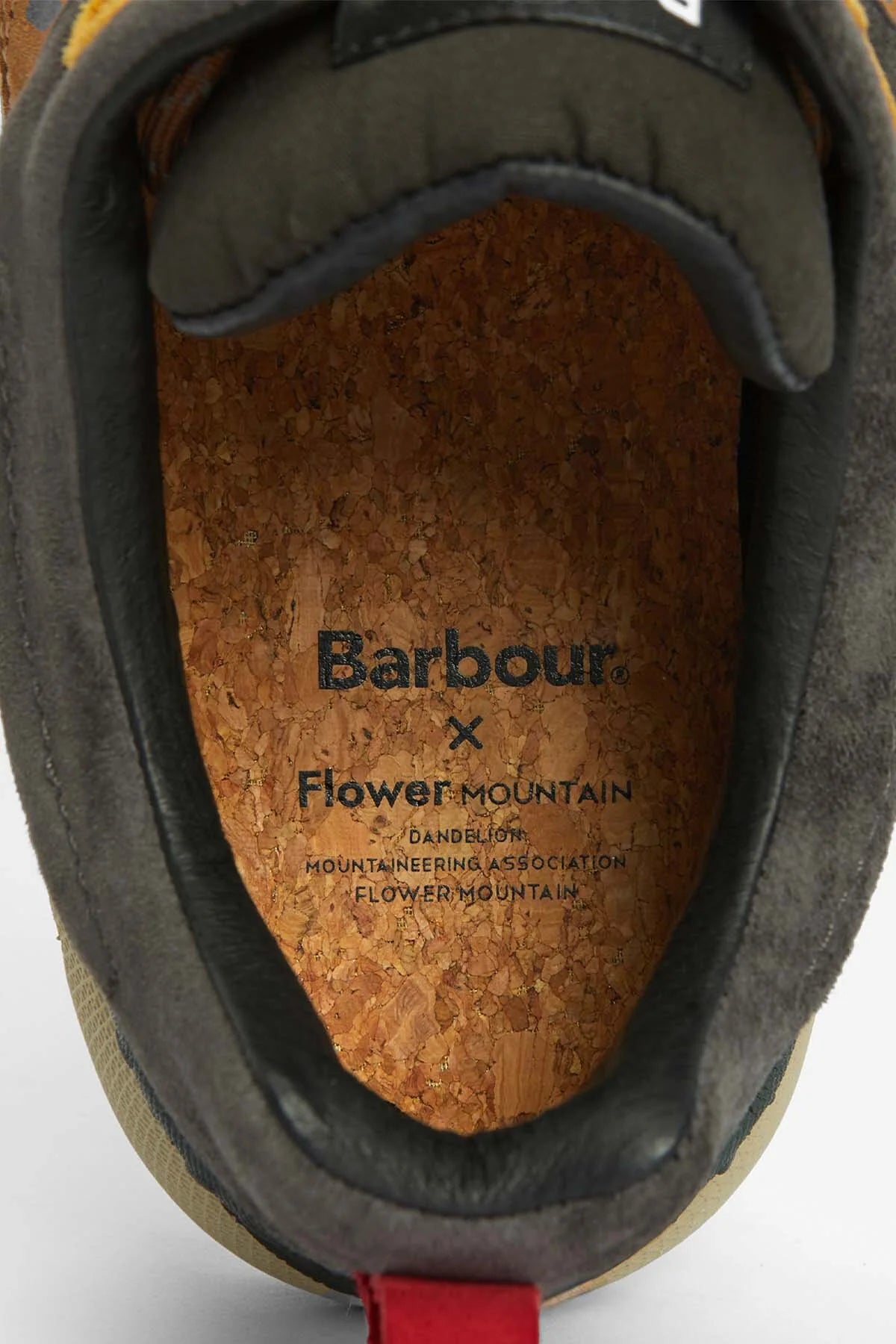Back Country Uni Trainers - BROWN BEIGE
