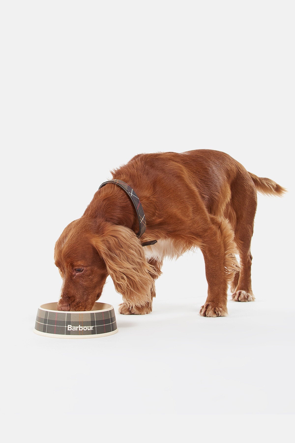 Tartan Dog Bowl